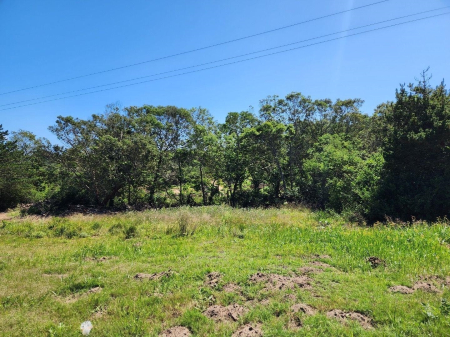 0 Bedroom Property for Sale in Langvlei Dunes Western Cape